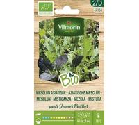 Set 10 bustine MISTICANZA ASIATICA BIO 4715B