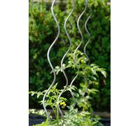 Set 10 Sostegni Tutori a Spirale per Piante Pomodori 150 cm in Acciaio Agrati