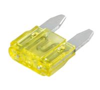 Set 100 micro fusibili lamellari, 12/32V - 20A