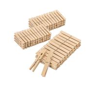 Set 100 Mollette in Legno Multiuso con Molla in Acciaio