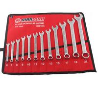 Set 12 Chiavi Combinate professionali fisse e stella kit inglesi da 6-22mm