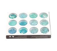 Set 12 Griglie di Paillettes Glitter, Decorazioni per Nail Art 3D, Fai - da - Te Colorate e Luminose - Confezione Organizzativa, Adatte a Gioielli e Artigianato (Blu)