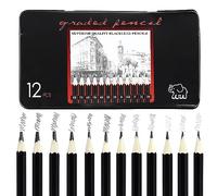 Set 12 Matite da Disegno Professionali 8B-2H (8B, 7B, 6B, 5B, 4B, 3B, 2B, B, HB, F, H, 2H) con Mina in Grafite, Ideali per Illustrare e Ombreggiare