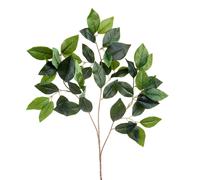 Set 12 Rami di Camelia Artificiale Composto da 3 Diramazioni Altezza 54 cm Verde