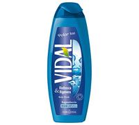 Set 12 VIDAL Bagno Polar Ice 500 Ml Prodotto Bagno E Doccia