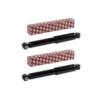 Set 2 Ammortizzatori Posteriori Adatti per CITROEN C2/C3 - Coppia Sospens. DX-SX