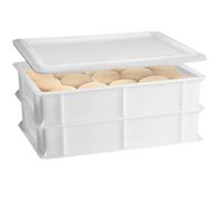 Set 2 Cassette con Coperchio portaimpasti palline Pizza Pane panette 60x40x13 ce