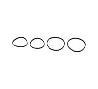 Set 2 Cinghia di Ricambio per Bissell 2X (203-6688 e 203-6804)