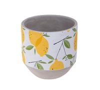 Set 2 Contenitori Decorativo Limoni Ø 17 H 17 cm