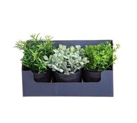 Set 2 Mini Piante Aromatiche Artificiali 6 Pezzi in Vaso assortite Altezza 20 cm Verde