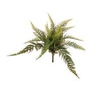 Set 2 Pinta di Felce Boston H 39 cm