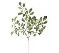 Set 2 Rami Artificiali Foglie Variegate 103 cm