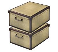 Set 2 Scatole Armadio Portaoggetti con Coperchio - Organizer Cambio Stagione in Cartone 32 x 42 x 21 cm Tapirus - Made in Italy, Resistenti, Facili da Montare, con Maniglie