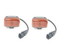 Set - 2x Indicatore Laterale Am Ingresso SX/ Dx Adatto A per Man TGA Tgl Tgm