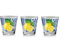 Set 3 Bicchieri da Tavola Acqua o Vino Nadia Salerno 25 erve