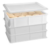 Set 3 Cassetta con Coperchio impasti palline Pizza Pane panette 30x40x13 per alimenti certificata certificata per alimenti litri 12 professionale impilabile sovrapponibile