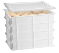 Set 3 Cassette con Coperchio portaimpasti palline Pizza Pane panette 60x40x13 ce