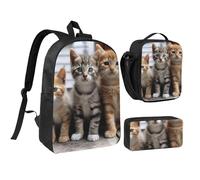 Set 3 in 1 di 3 zainetti con gattini e famiglia di gatti, con portapranzo isolato, astuccio per matite, leggero da 17 pollici, borsa per il pranzo a tracolla e astuccio per matite