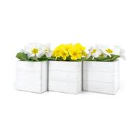 Set 3 Mini Cassette Quadrate 10x10x10 cm | Vasi per Piante Grasse con Interno in Plastica | Fioriere da Interno ed Esterno (Bianco)