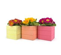 Set 3 Mini Cassette Quadrate 10x10x10 cm | Vasi per Piante Grasse con Interno in Plastica | Fioriere da Interno ed Esterno