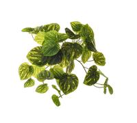 Set 3 Peperomia Artificiale a 8 Diramazioni Composta da 43 Foglie Altezza 28 cm Verde