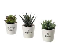 Set 3 Piantine artificiali Personalizzate "Mamma sei la migliore" con Nome Piante Finte in Vaso Artificiali da Interno Esterno Verdi Idea Regalo Decorazione per Casa Bagno Uffici da Tavola Cucina