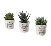 Set 3 Piantine artificiali Personalizzate "Nonna ti voglio Bene" Piante Finte in Vaso Succulente Artificiali da Interno Esterno Verdi Idea Regalo Decorazione per Casa Bagno Uffici da Tavola Cucina