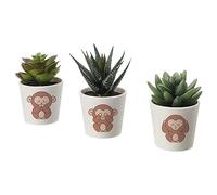 Set 3 Piantine artificiali Personalizzate Tre Scimmiette Non Vedo Non Parlo Non Sento Piante Finte in Vaso Artificiali Interno Esterno Verdi Idea Regalo Decorazione Casa Bagno Uffici da Tavola Cucina