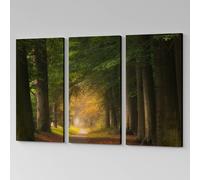 Set 3 Quadri Moderni su Tela |Q1038| Paesaggio Bosco con Sentiero Stampato