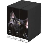 Set 3 Raccoglitori Seven ad Anelli - TEMA CANE - Dossier Dorso 8 cm, Meccanismo a Leva - Protocollo Portadocumenti per Casa e Ufficio - Misure tris: 26cm x 29cm x 35cm