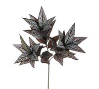 Set 3 Rami Artificiali di Foglia Calathea Composto da 39 Foglie H 70 cm