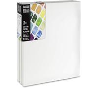 Liquitex Basics set da 3 tele per pittura bianche - 50x70cm