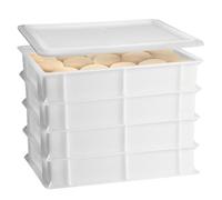 Set 4 Cassette con Coperchio portaimpasti palline Pizza Pane panette 60x40x10 certificata per alimenti VASCHETTA DA FRIGO professionale litri 18 impilabile sovrapponibile PIZZERIA CASEIFICI