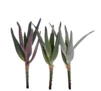 Set 4 Mini Rami Artificiali di Aloe H 22 cm