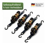 Set 4 Pezzi TRUTZHOLM Cinghia di Bloccaggio Automatica 1,8 m 25 mm S-Ganci Nera