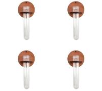 Set 4 porta piante in legno da parete con provette trasparenti per uso interno