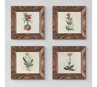 Set 4 Quadretti con Fiori Botanici | Stampe su Tela Decorative Vintage Q1482