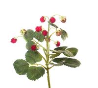 Set 4 Rami Artificiali con Fragoline di Bosco a 3 Diramazioni H 29 cm