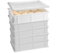 Set 5 Cassetta con Coperchio impasti palline Pizza Pane panette 30x40x13 per alimenti certificata certificata per alimenti litri 12 professionale impilabile sovrapponibile
