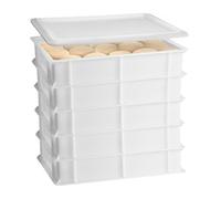 Set 5 Cassette con Coperchio portaimpasti palline Pizza Pane panette 60x40x10 ce