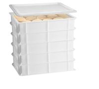 Set 5 Cassette con Coperchio portaimpasti palline Pizza Pane panette 60x40x13 certificata per alimenti VASCHETTA DA FRIGO professionale litri 24 impilabile sovrapponibile PIZZERIA CASEIFICI