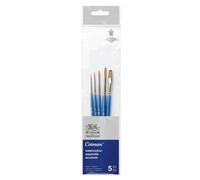SET 5 PENNELLI SINTETICI COTMAN PER ACQUERELLI WINSOR&NEWTON PUNTA TONDA/PIATTA