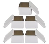 Set 5 Pezzi Scatole di Latta Sigillate per Tè in Acciaio, Contenitori Riutilizzabili per Tisana e Tè Verde, Design Semplice e Stile Creativo per Uso in Cucina