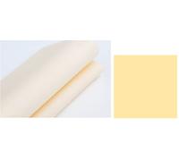 Set 50 Pezzi Tovaglioli da Tavola Carta Simil Tessuto 55 Gr Ivory 40 x 40 cm