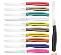 SET 6 12 COLTELLI DA TAVOLA CUCINA BISTECCA LAMA DENTATA ACCIAIO KAIMANO COLOR
