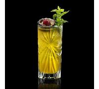 Set 6 Bicchieri Long Drink RCR Oasis 36 ristallo Luxion