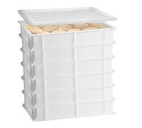 Set 6 Cassette con Coperchio portaimpasti palline Pizza Pane panette 60x40x10 ce