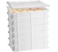 Set 6 Cassette con Coperchio portaimpasti palline Pizza Pane panette 60x40x13 certificata per alimenti VASCHETTA DA FRIGO professionale litri 24 impilabile sovrapponibile PIZZERIA CASEIFICI