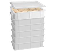 Set 6 cassette impasto pizza lievitazione pane cm 40x30x10 con coperchio profess