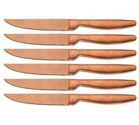 Set 6 Coltelli da Tavola Lama Liscia in Acciaio Inox Jacob Rame